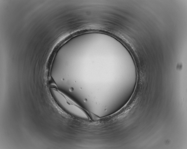 X0000094081029200711091210