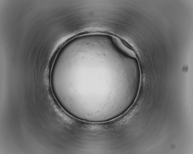 X0000094081030200711091210