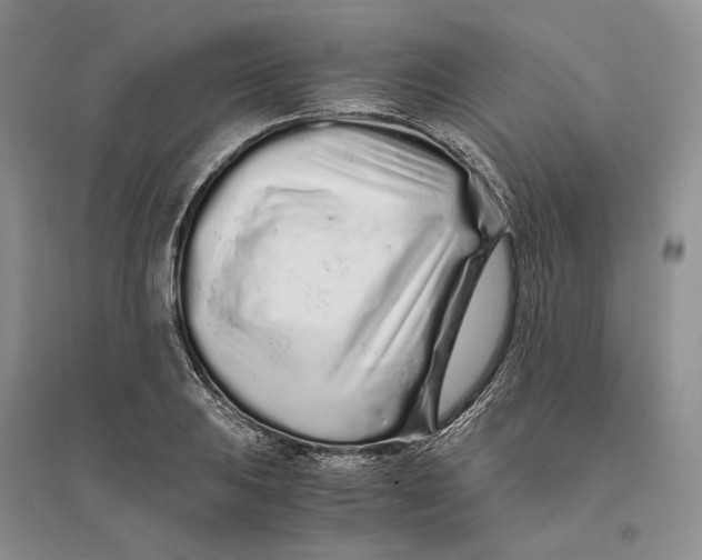 X0000094081031200711091210