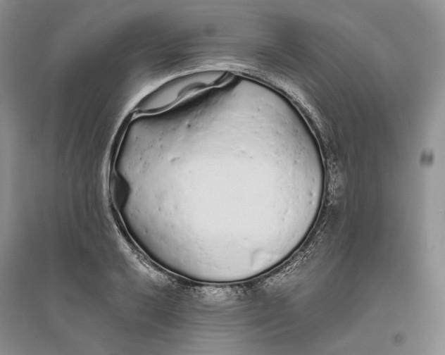 X0000094081032200711091210