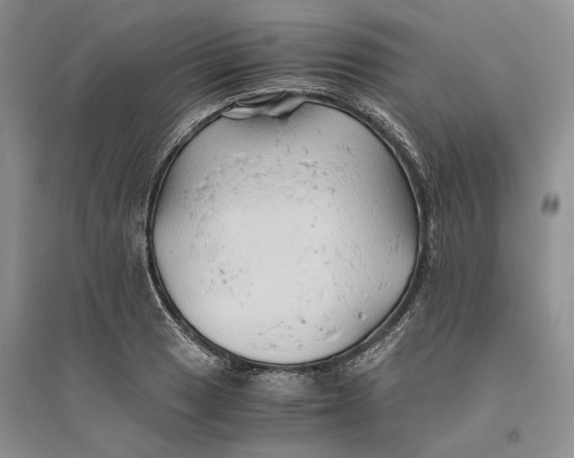 X0000094081033200711091210