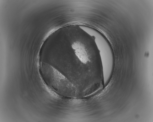 X0000094081034200711091210