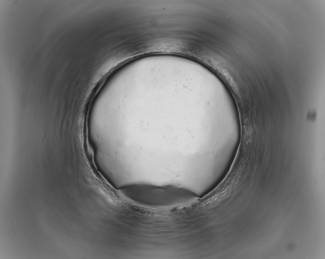 X0000094081035200711091210