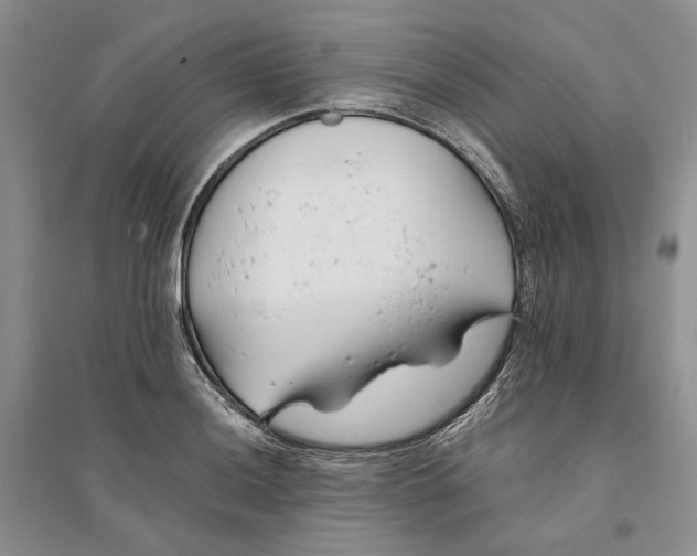 X0000094081036200711091210