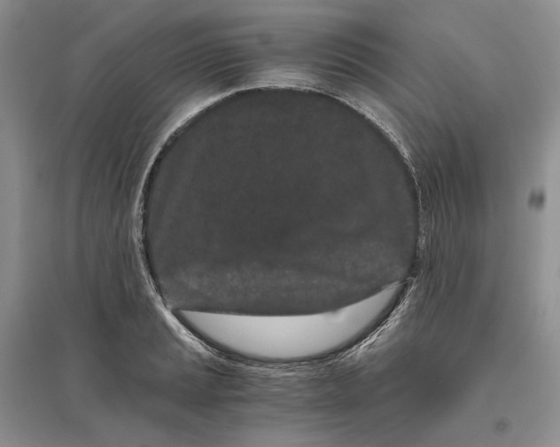 X0000094081037200711091210