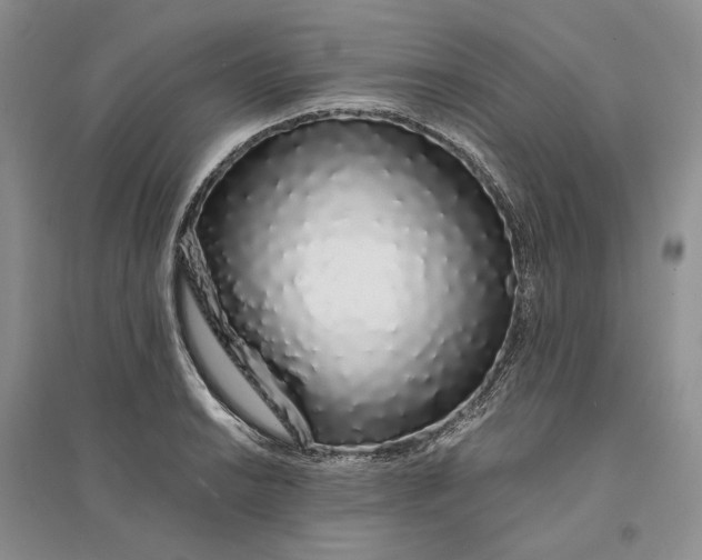 X0000094081038200711091210