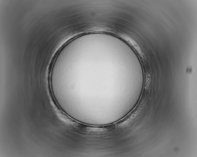 X0000094081039200711091210