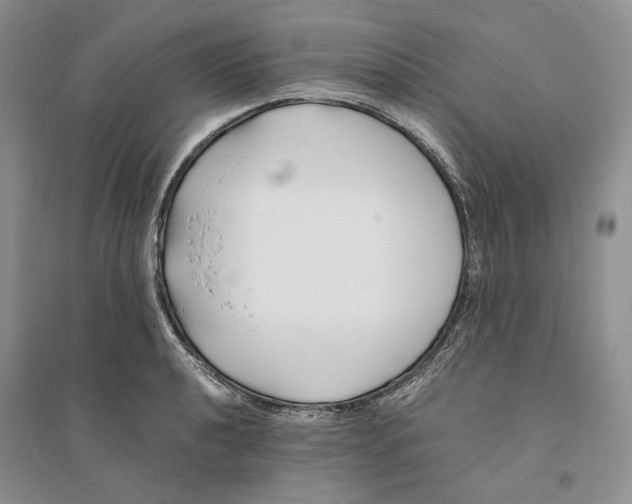 X0000094081040200711091210