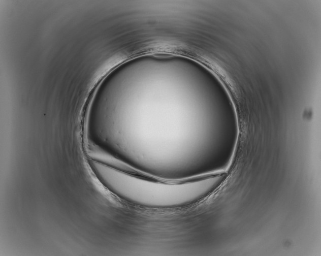 X0000094081042200711091210