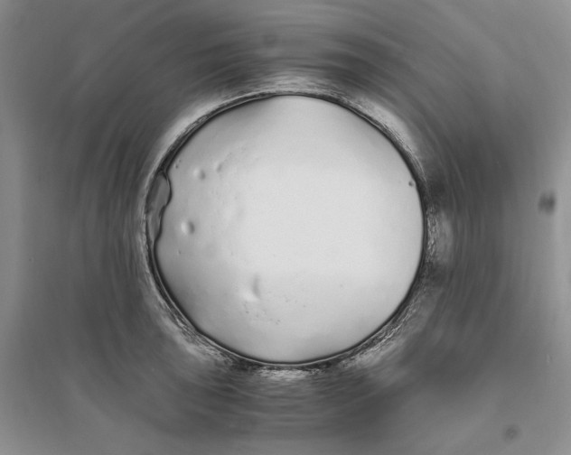 X0000094081043200711091210