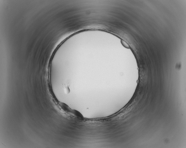 X0000094081044200711091210