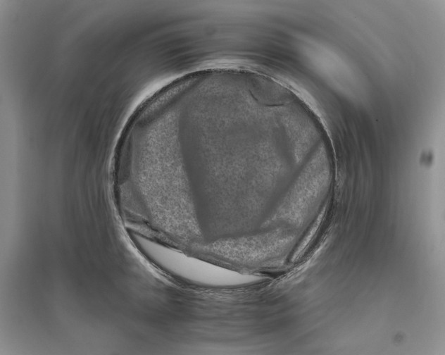 X0000094081045200711091210