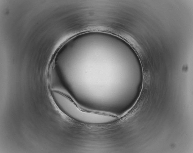 X0000094081046200711091210