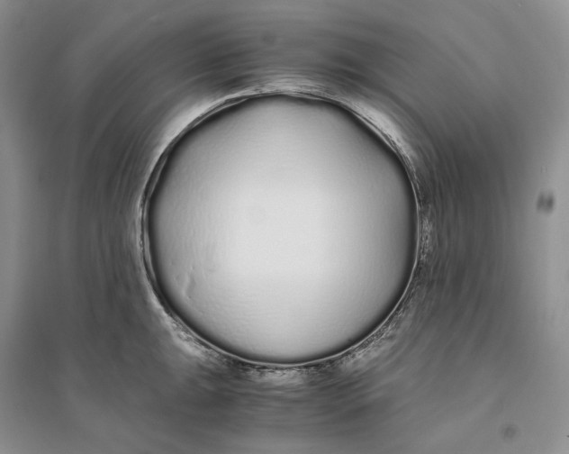 X0000094081047200711091210
