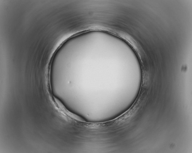 X0000094081048200711091210