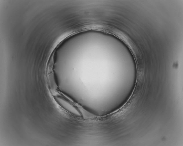 X0000094081050200711091210