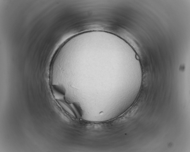 X0000094081051200711091210