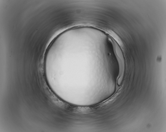 X0000094081052200711091210