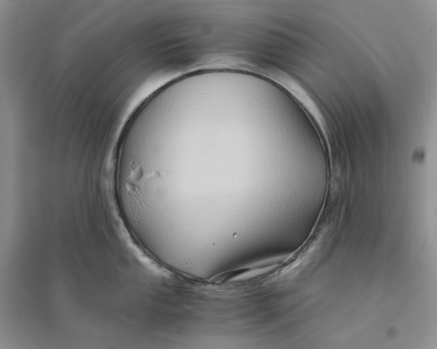 X0000094081053200711091210