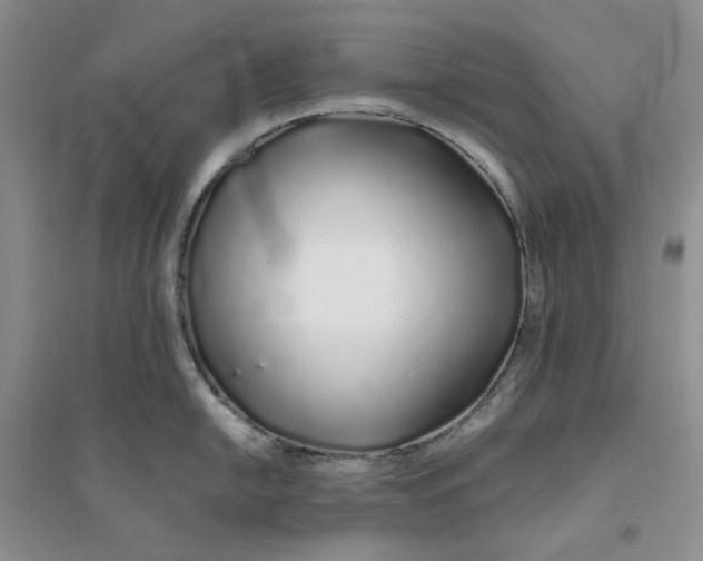 X0000094081054200711091211