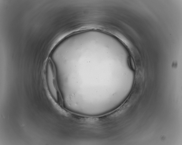 X0000094081055200711091211