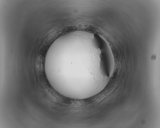 X0000094081058200711091210