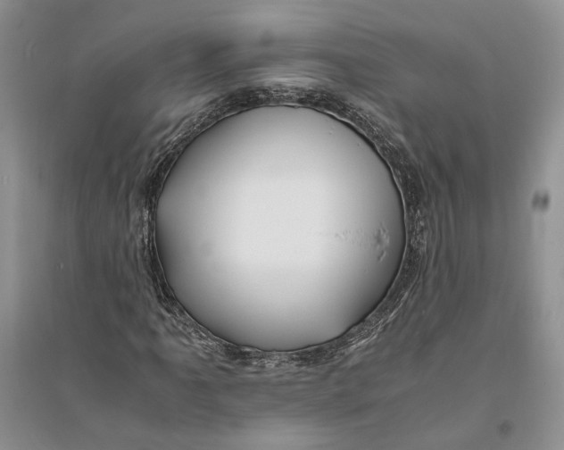 X0000094081061200711091210