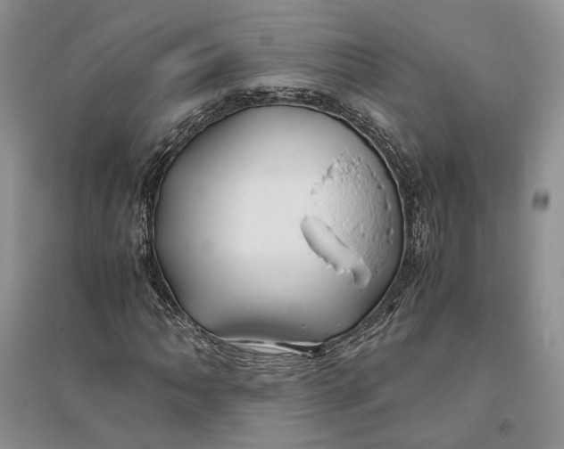 X0000094081062200711091210