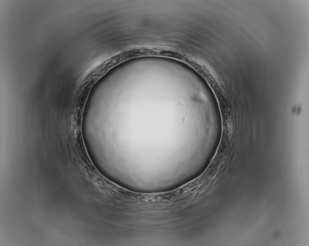 X0000094081064200711091210
