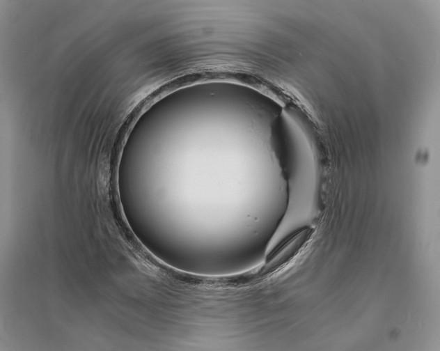 X0000094081065200711091210
