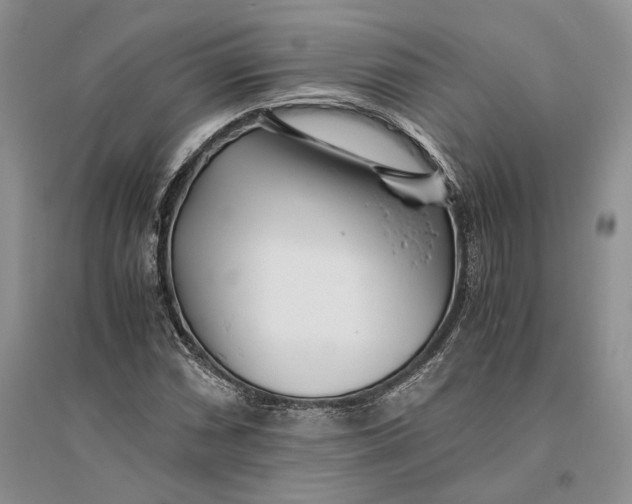 X0000094081066200711091210