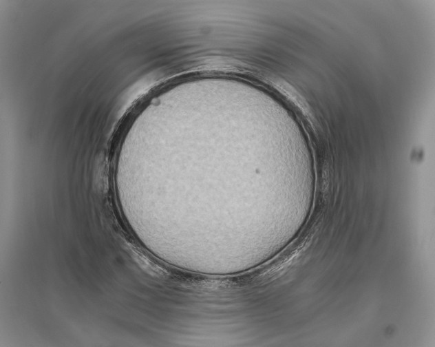 X0000094081067200711091210
