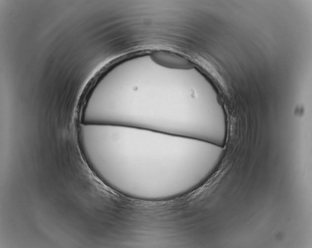 X0000094081068200711091210