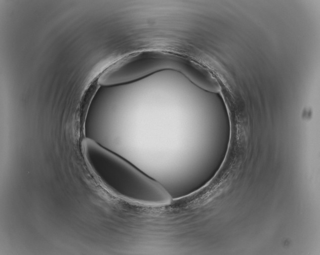 X0000094081069200711091210