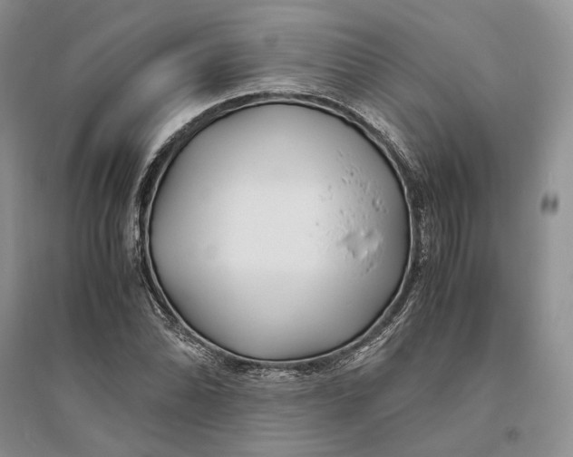 X0000094081070200711091210