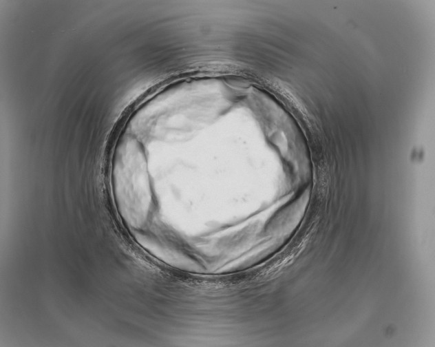 X0000094081071200711091210