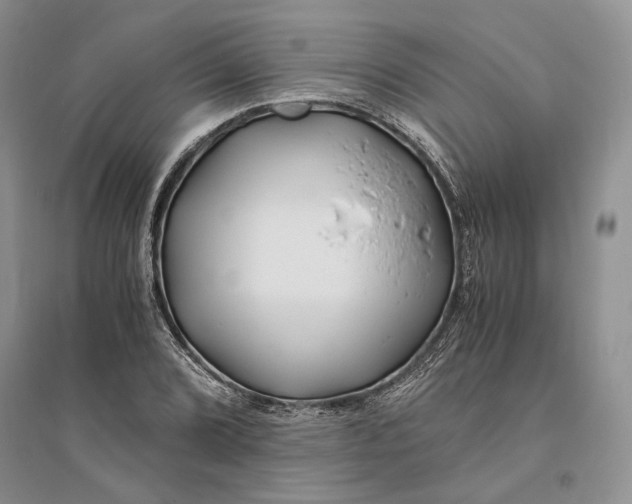 X0000094081072200711091210