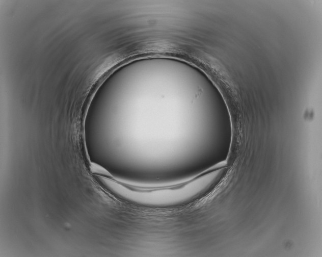 X0000094081073200711091210