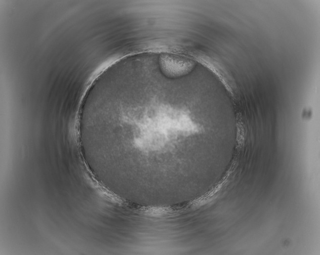 X0000094081074200711091210