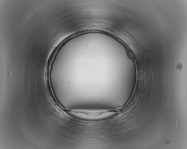 X0000094081076200711091210
