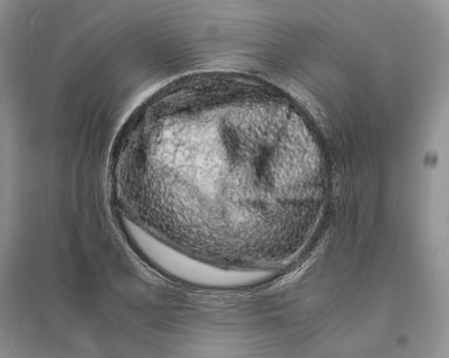 X0000094081077200711091210