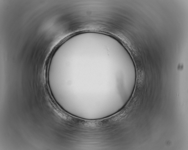 X0000094081078200711091210