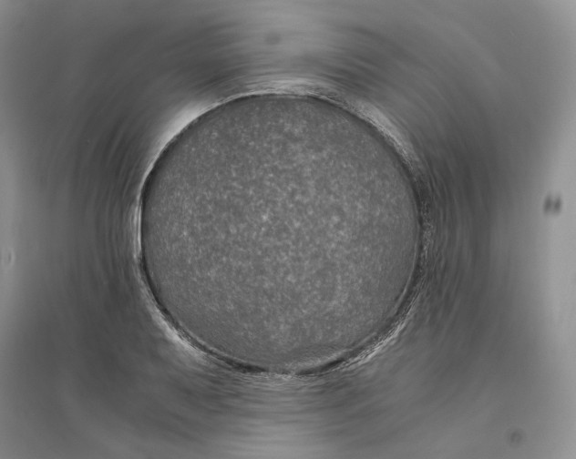 X0000094081079200711091210