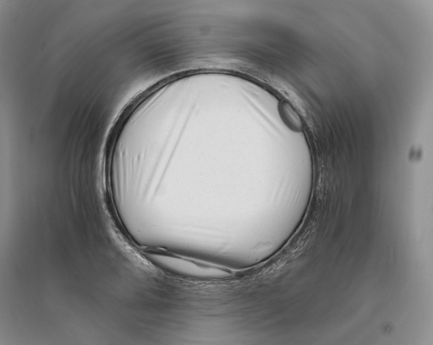 X0000094081080200711091210