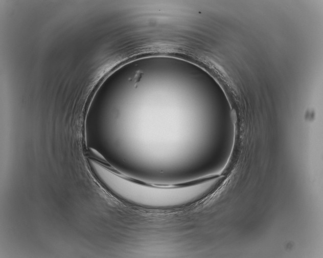 X0000094081081200711091210