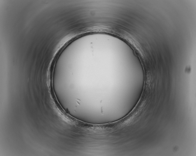 X0000094081082200711091209