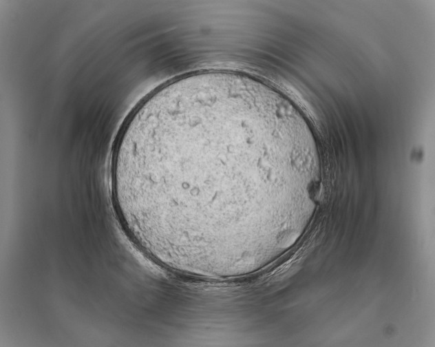 X0000094081084200711091209