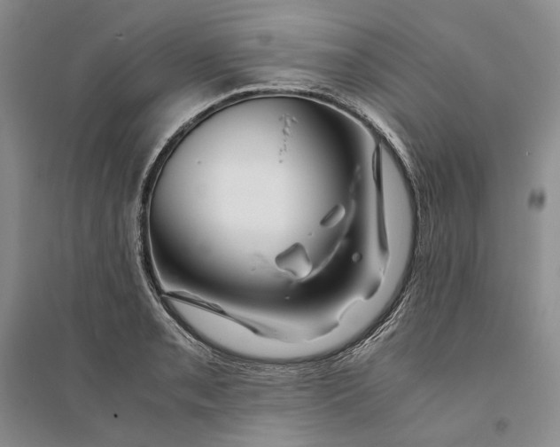 X0000094081085200711091209
