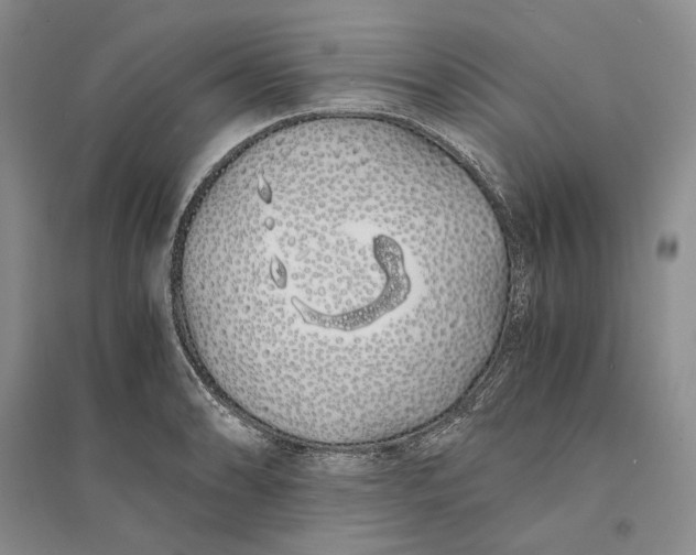 X0000094081086200711091209