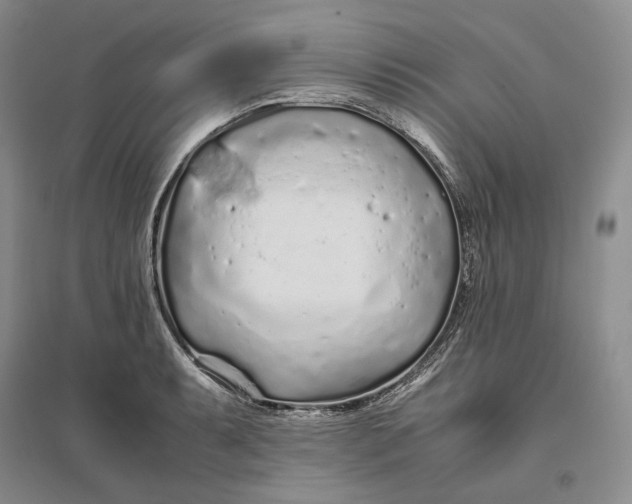X0000094081087200711091209